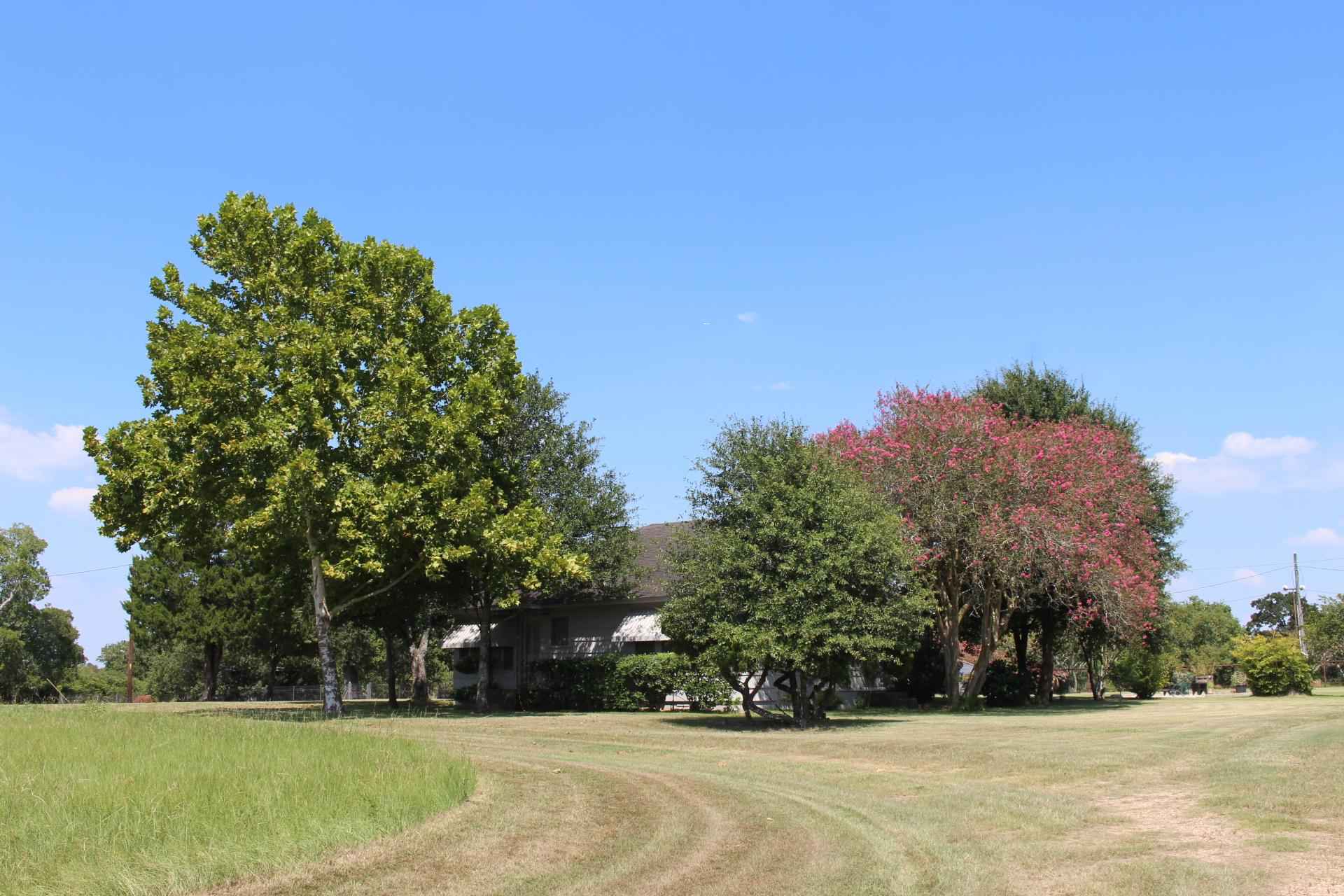 Bruce Farm Jacobs Properties Texas Land, Ranches, Farms, Homes & Acreage